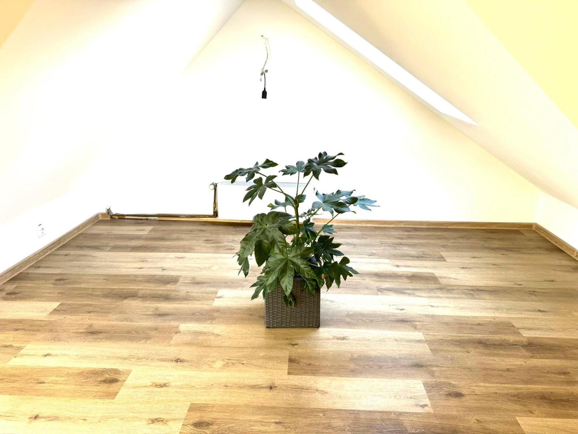 Ferienhaus Dierdorf מראה חיצוני תמונה